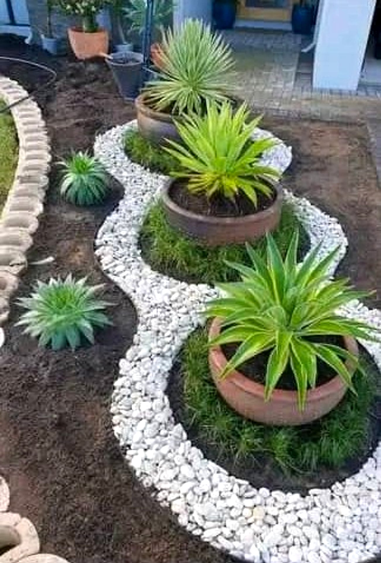 Pebble garden path with succulent planters