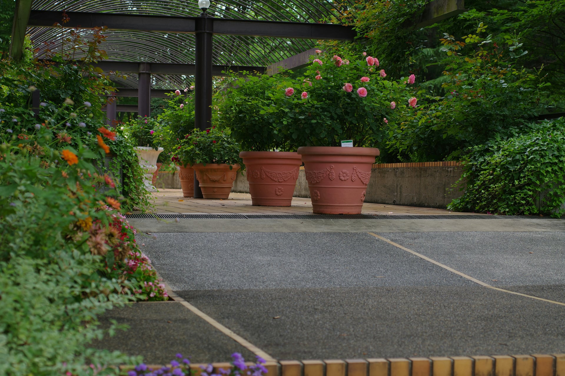 Tiled garden walk with geometric planters and a curved stone edge