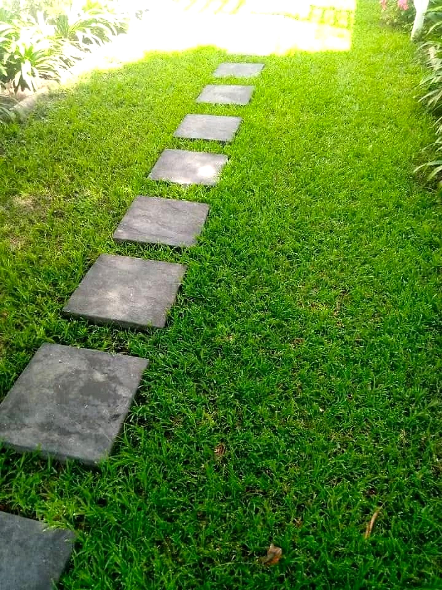 Dark stepping stones set into a lawn