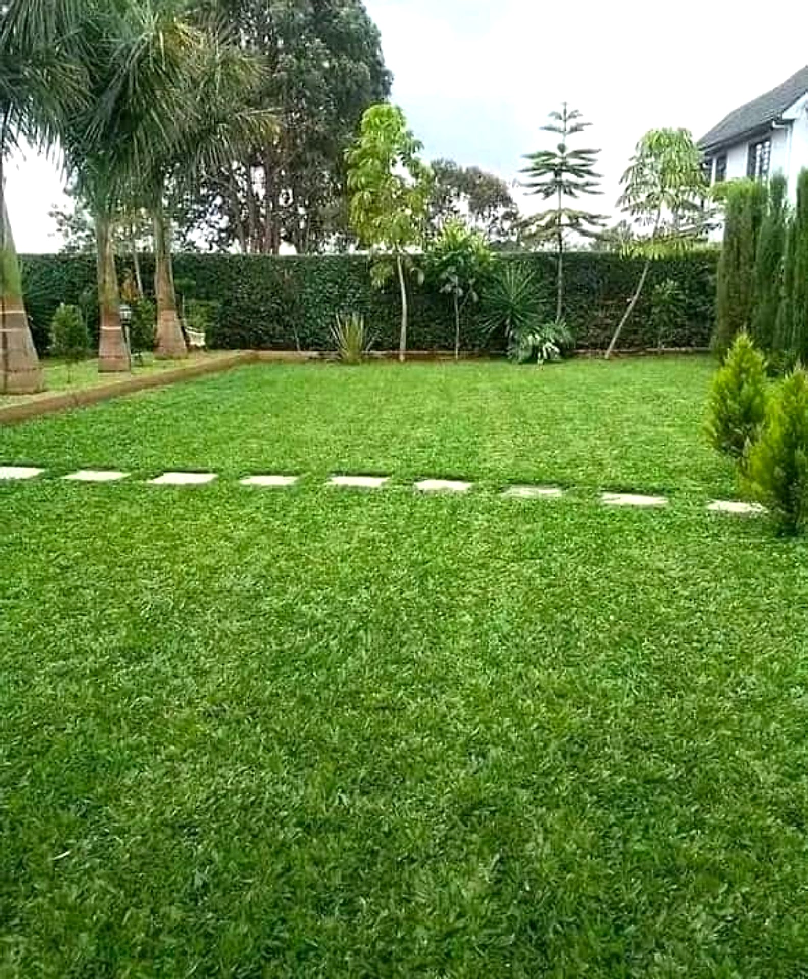 Stepping-stone walk across a residential lawn